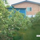 와촌 농장 이미지