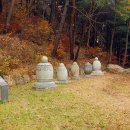 육일철물 | 석남사 부도 향토유적(경기 안성시 금광면)