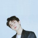 놈모 이미지