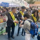 천안서당초등학교 이미지