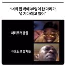 올해 샤따 내리는 수면일지 - 12월