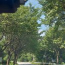 세븐일레븐가평설악점 이미지