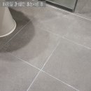 클린숲