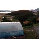 반딧불민박 이미지