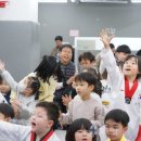 타이거태권도장 이미지