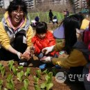 강동 태양광발전소 이미지