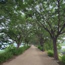 미사강변곤드레밥집 이미지