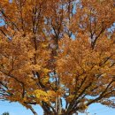 마리산초등학교 이미지