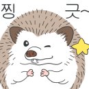 와우펫앤쥬 - 달서구 달구벌대로 1229 | 와우펫앤쥬