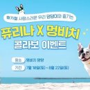 멍비치 이미지