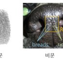 코코코 네이버블로그