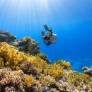 선일빅데이터고등학교 이미지