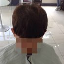 에일린(aileen) 헤어 이미지