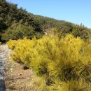 황금농장(2) 이미지