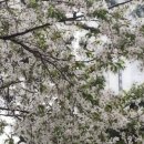 한국폴리텍 I 대학 서울강서캠퍼스 이미지