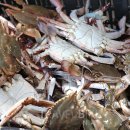 전북생활음악페스티벌 이미지