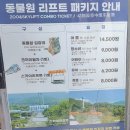 (주)패키지랜드 | 서울랜드 동물원 패키지 코끼리열차 후기 아이와 서울랜드 나들이 갔다가 감기 시작