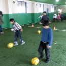 합기도 성무관 이미지