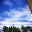 행복한일상 이미지