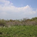 정선군 도사곡샘터 이미지