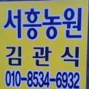 서흥농장 Daum카페