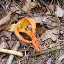 함평이야기 이미지