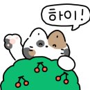 둔포마트 이미지