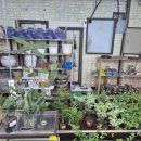 은아유통 이미지