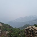 4050 솔로모임을 할려구 하는데,,, 이미지