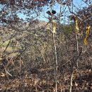 숭선고개길 이미지