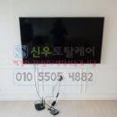 순천-11호 이미지