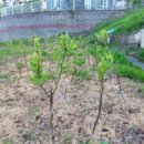 성욱농장 이미지