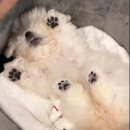 발앤발 이미지