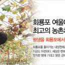 회룡포여울마을 이미지