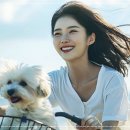 데이뷰