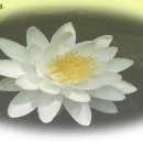 세왕전자 이미지