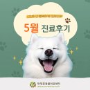 평촌나무동물병원 | 안양본동물의료센터 2025년 5월 진료후기, 평촌동물병원