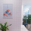 커피홀베이커리충주 네이버블로그