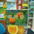 동상건강원 이미지