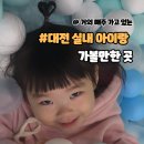 둔산동물병원 | 대전 실내 아이랑 가볼만한 곳 4천원으로 키즈카페 가기