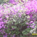 장씨농장 이미지