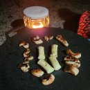 용인랜드 숲속캠핑장 이미지