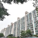 수원-1235 이미지