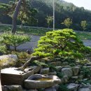 느티나무농장 이미지