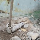 마루건설산업(주) 이미지