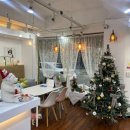 베리독 강아지고양이 평택본점 이미지