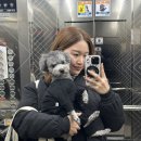 검성로1-5 네이버블로그