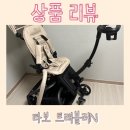 유모카 추천 : 타보 트래블러 N 내돈내산 후기