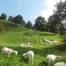 그린한우농장 이미지