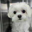 남춘천새길 이미지